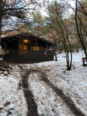 Woods Etna Chalet Ragalna 